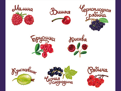 Berries berries berry childish illustration lettering