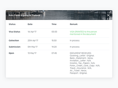 Visa Status Concept