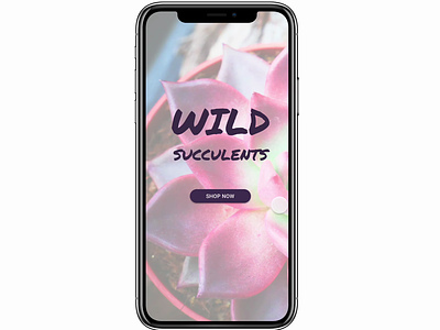Wild Succulents plant ordering mobile experience animation branding design glassmorphism interactive componnets motion graphics ui
