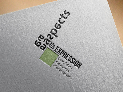 Aspects of expression 2 mockup design logo