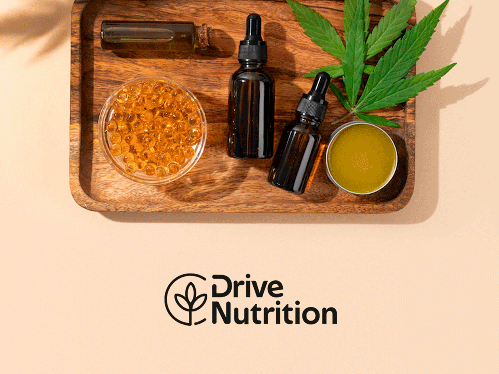 Drive Nutrition branding design graphic design healthy herbalife nutrition logo