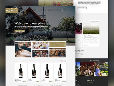 Tscharke Wines Website Concept design photography ui ux web website