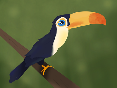 Lil Toucan art bird illustration procreate