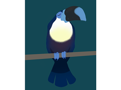Toucan art bird illustration procreate