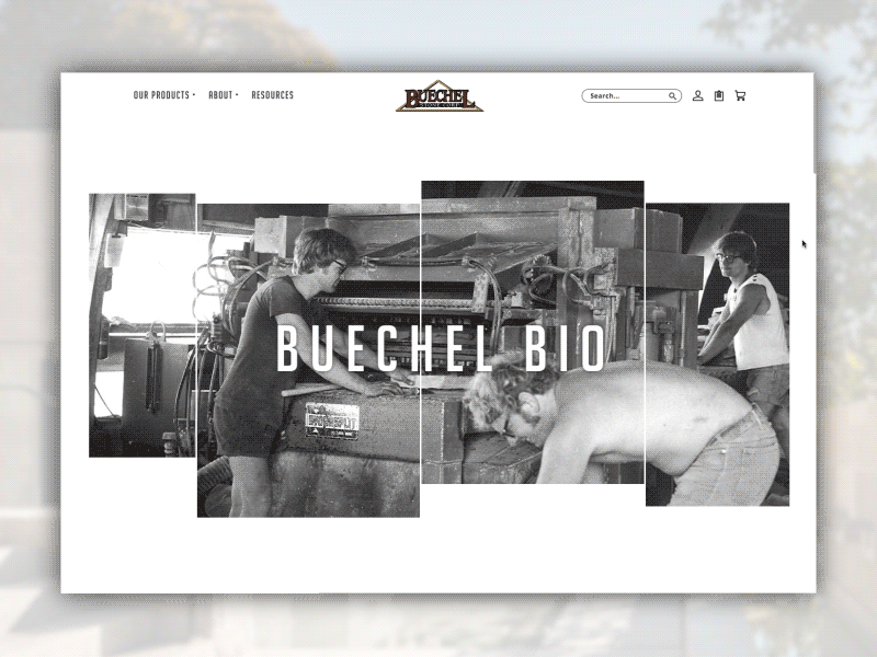 Buechel about