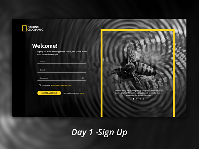 Day 1 - Sign Up #DailyUI