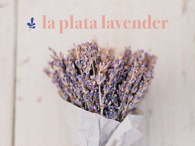 Lavender Farm Logo branding farm logo feminine logo floral logo flower illustration flower logo lavender lavender logo minimalist logo pink logo purple logo