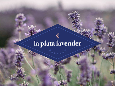 Secondary Badge Lavender Logo colorado logo diamond logo durango farm brand farm logo floral logo flower flower logo la plata lavender purple