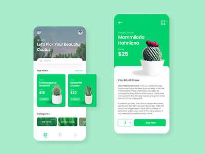 Cactus App Exploration