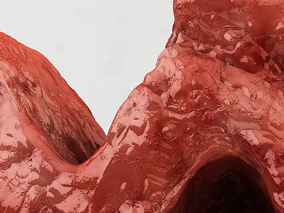 Aorta (Shader Detail) aorta fresh meat fwa meat raw veins