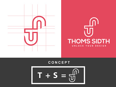 TS letter logo