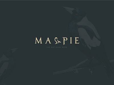 Magpie Logo/Bird logo/National Bird logo