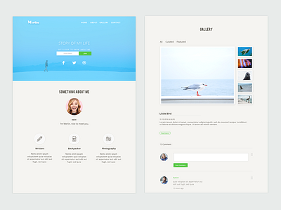 Merlin – OnePage template with Clean design.