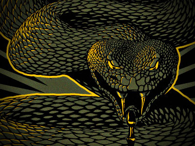 SsSnake design illustration snake