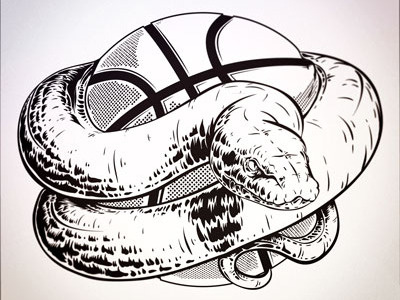Python Closeup basketball illustration python snake