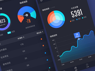 An interface to describe the data of public opinion