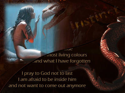 Instinct bronze dragon fairy instinct poem