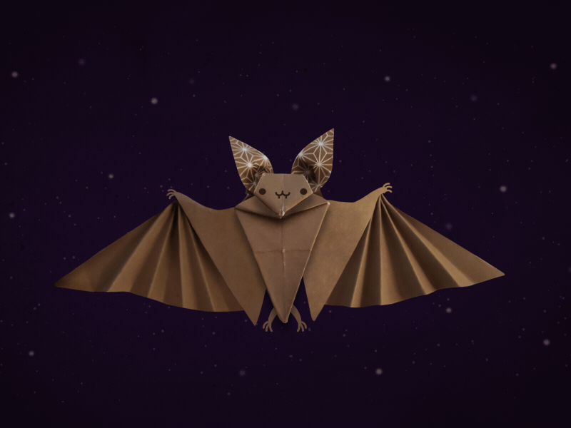 The Paper Bat animation animation 2d animation after effects bat cute cutout origami origami animal