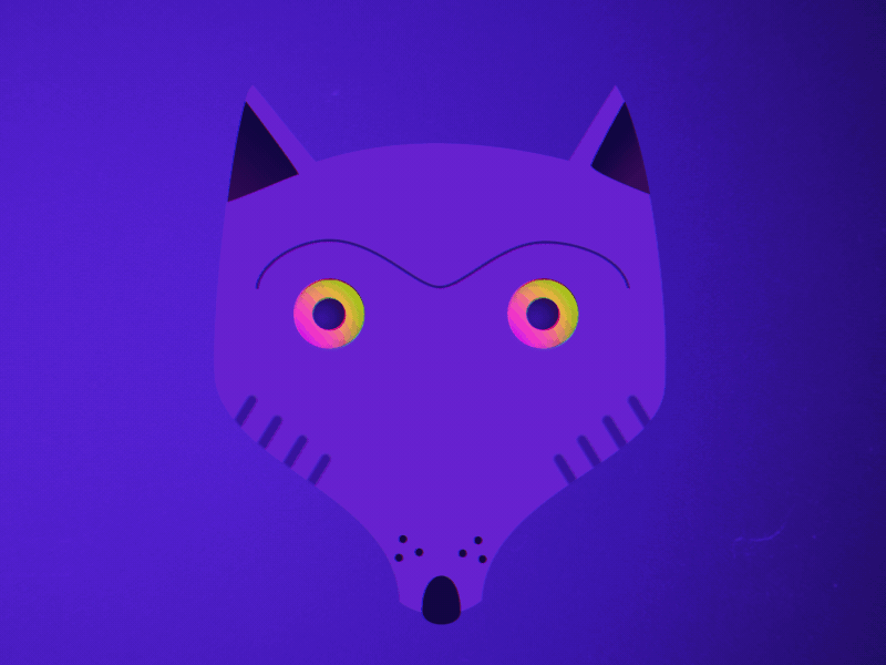 She wolf 2d animation after effects animation animation gif gif metamorphosis mograph morphing motion graphics shape animation shewolf wolf