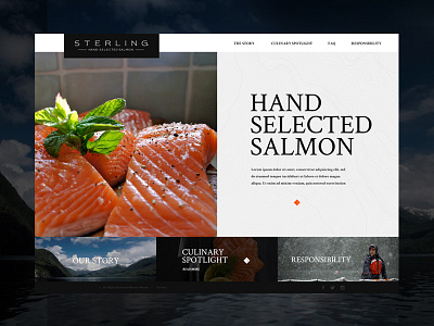 Steerling Website fish ui ui design web web design