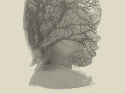 Silhouette Portrait daughter portrait silhouette trees