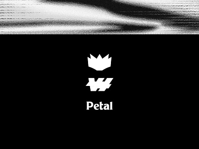 VI Petal - Concept 1 branding brutalism design distorted icon lingerie minimalism simple typography