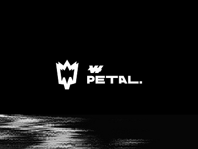VI Petal - Concept 2 branding brutalism design icon logo minimalism minimalist logo minimalistic music print simple