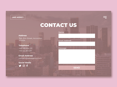 Contact Us contact contact us daily ui daily ui day 019 dailyui design figma form page ui ux