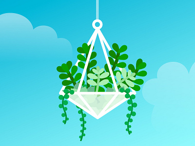 Terrarium cactus hanging plant illustration succulents terrarium vector