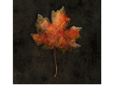 Leaf in fall autumm digital art digital painting fall illustration leaf leaves procreate texture