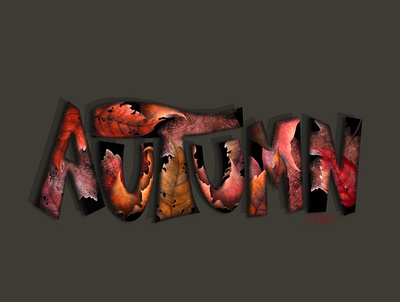 Autumn colors autumn design digital artist fall illustration leaves lettering procreate type