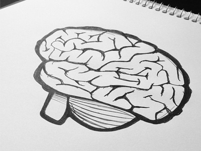 Brain Sketch brain drawing hand drawn icon illustration paper pen sketch vector