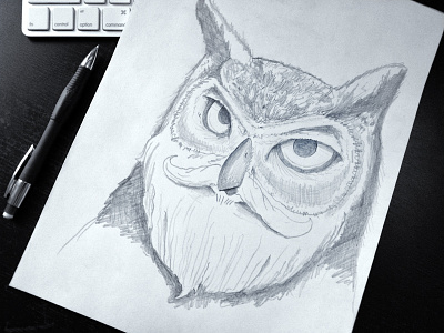Warmup Sketch: Bearded Owl beard bird black and white owl pencil photo portrait sketch warmup wildllfe