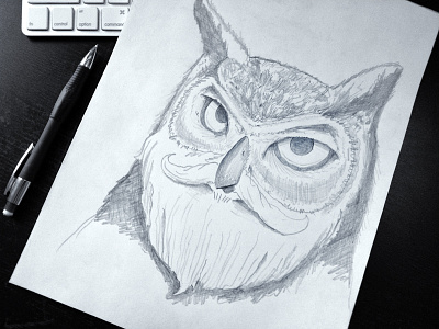 Warmup Sketch: Bearded Owl 