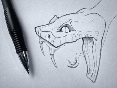 Snake Head Sketch black and white illustration line work pencil photo reptile sketch snake