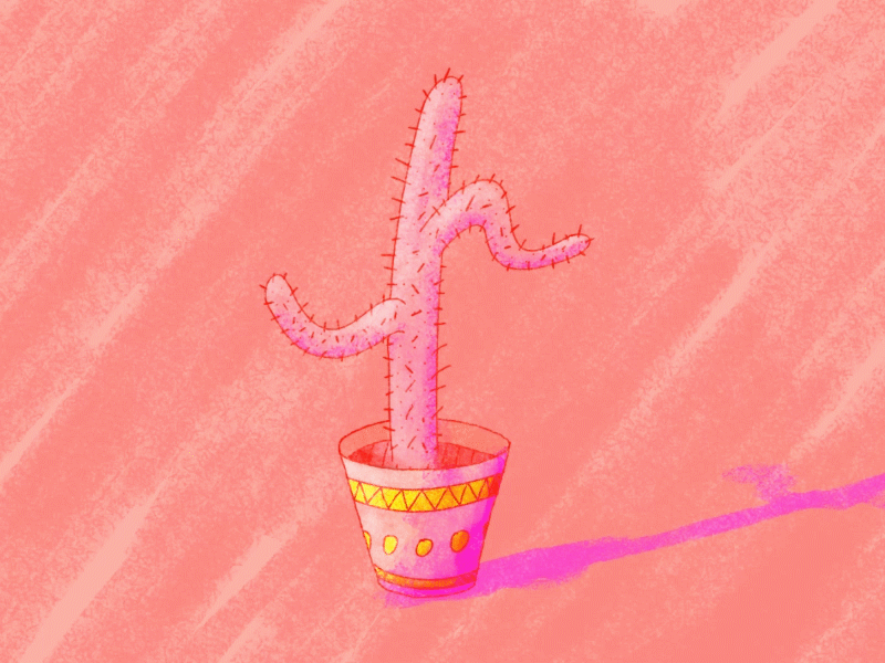 Cactus after effects animation cactus illustration motion photoshop pink