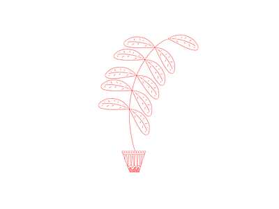 Plant Doodle fern illustration line drawing photoshop plant