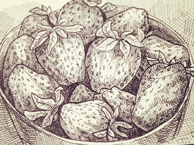 Sketch of a bowl with strawberries art drawing ink moleskine pen sketch