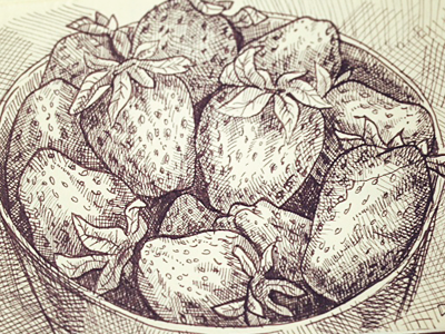 Sketch of a bowl with strawberries