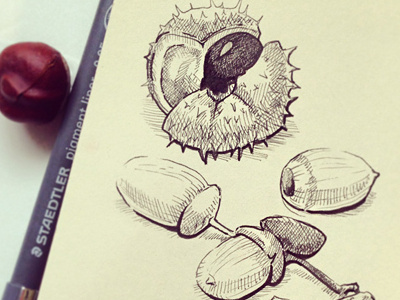 Sketching autumn... autumn chestnut drawing ink lineart moleskine sketch