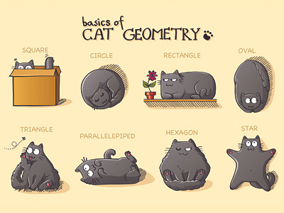 "Cat Geometry" as rubber mat