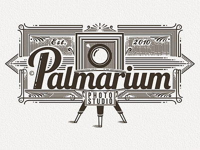Palmarium Photostudio Logo brand camera design identity logo palmarium photo photostudio symbol vector