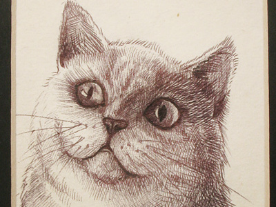 Portrait of a cat cat catsu comics crazy drawing lady pen