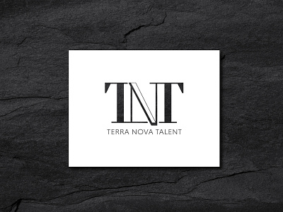 Terra Nova Talent (Logo Design) branding logo concept logo design concept