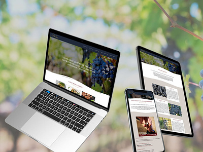Due Vigne Winery branding elementor graphic design website design woo commerce wordpress