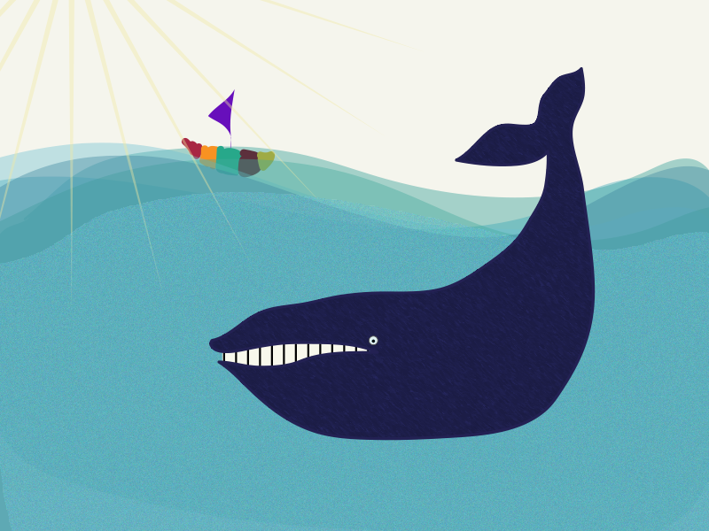 Whale by Ecem Afacan on Dribbble