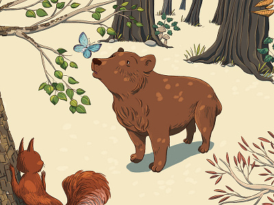 Who are you? bear bear illustration butterfly childrens illustration digital illustration forest illustration trees wildlife