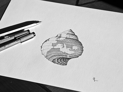a small world on a sea shell creative dotsketch dotwork drawing earth map pointillism seashell shell sketch world