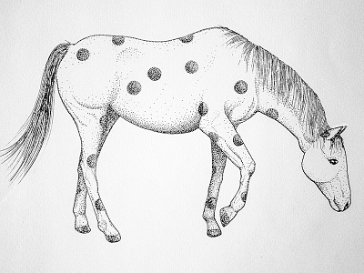 sketch horse art dot dotart drawing horse illustration ink pointillism rennes sketch