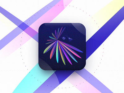 App icon app bird colorful experiment icon icone process rainbow ui uidesign